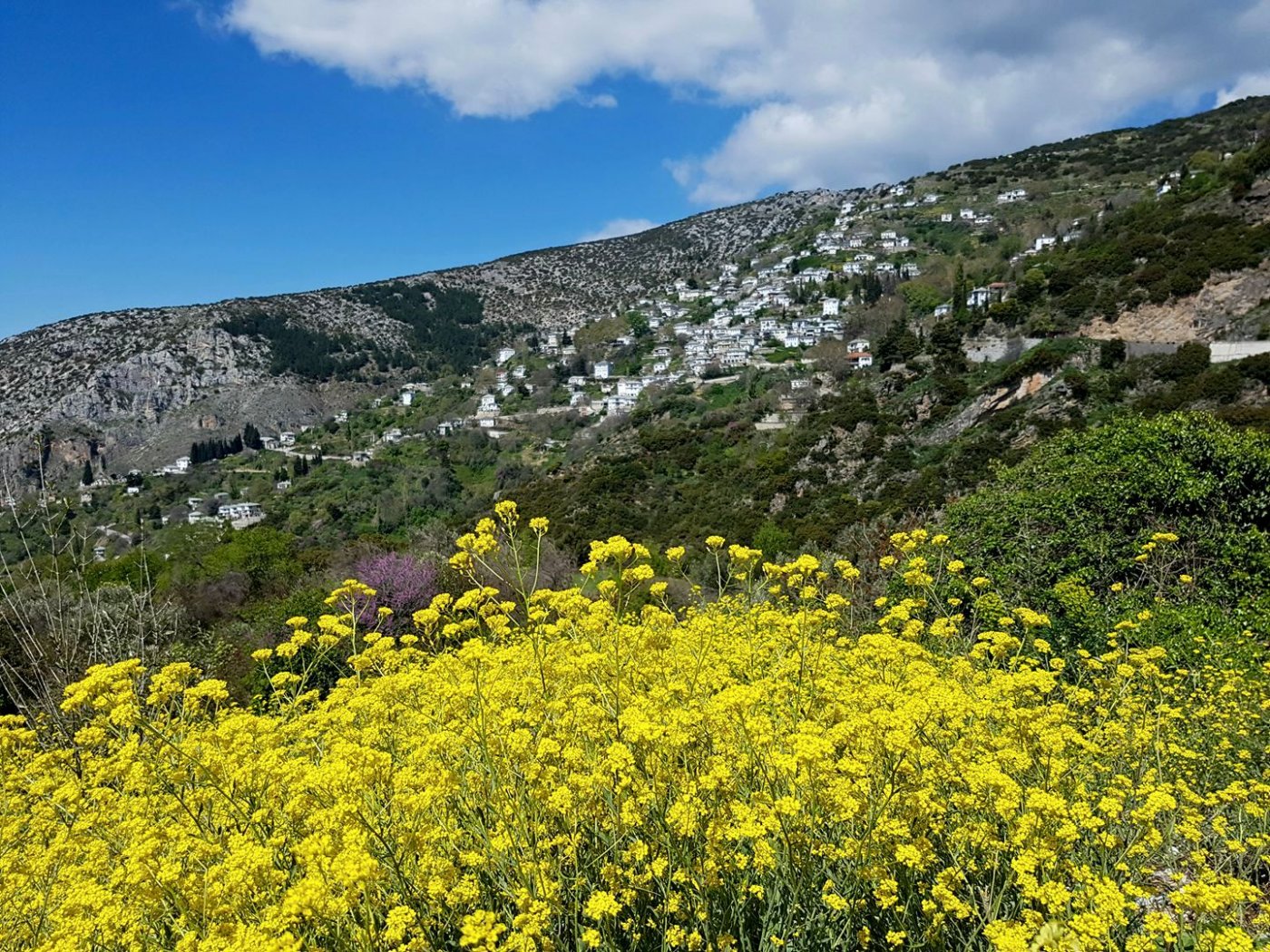 Άνοιξη